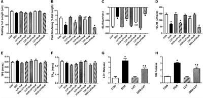 Luteolin Attenuates Doxorubicin-Induced Cardiotoxicity Through Promoting Mitochondrial Autophagy